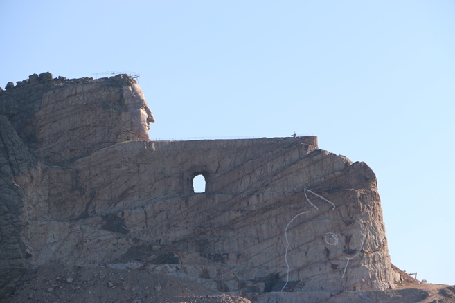 Crazy Long Time Horse