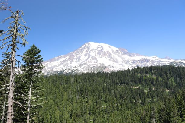 Mt. Rainier