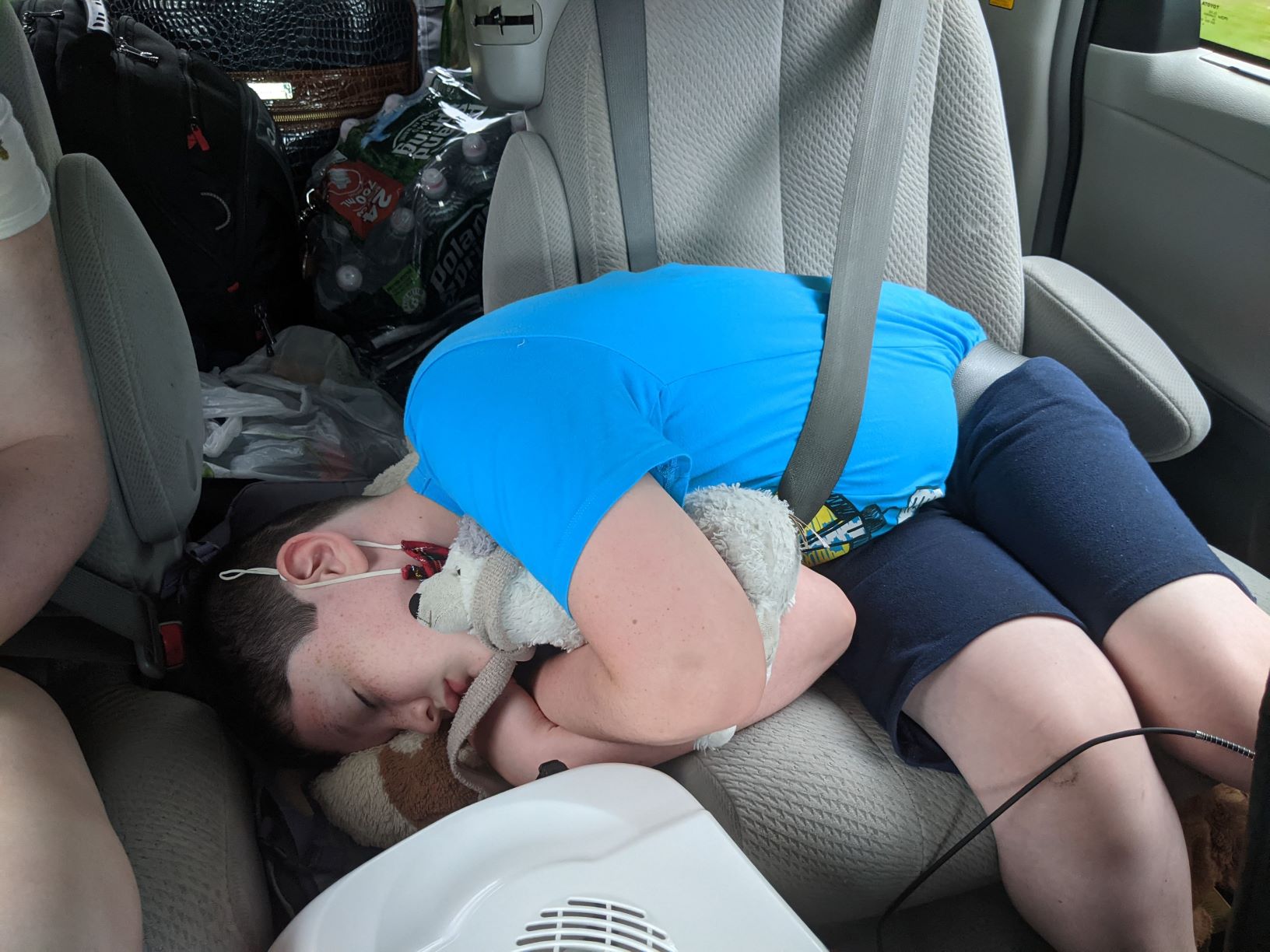 First Road Nap